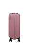DashPop Bagagli a mano 15.6"