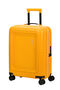 DashPop Bagagli a mano