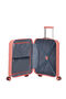 Airconic Bagagli a mano