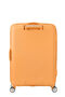 SoundBox Valigia da stiva M