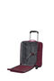 Cloudrider Valigia (2 ruote) S/M