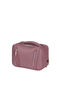 Wanderlite Necessaire