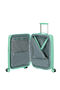 FastForward Bagagli a mano