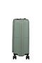 DashPop Bagagli a mano 15.6"
