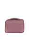 Wanderlite Necessaire