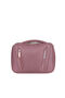 Wanderlite Necessaire