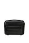 Flashline Beauty case