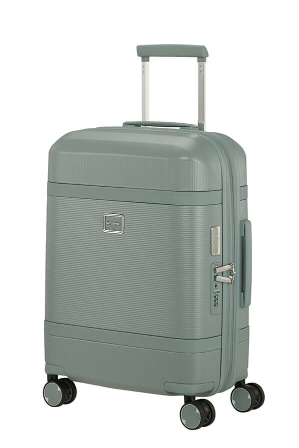 Image Trolley espandibile (4 ruote) 55cm