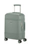 Image Trolley espandibile (4 ruote) 55cm