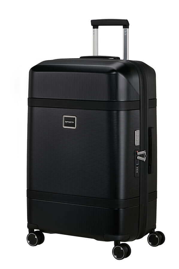 Image Trolley espandibile (4 ruote) 69cm