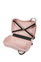 Dream2go Trolley (4 ruote)