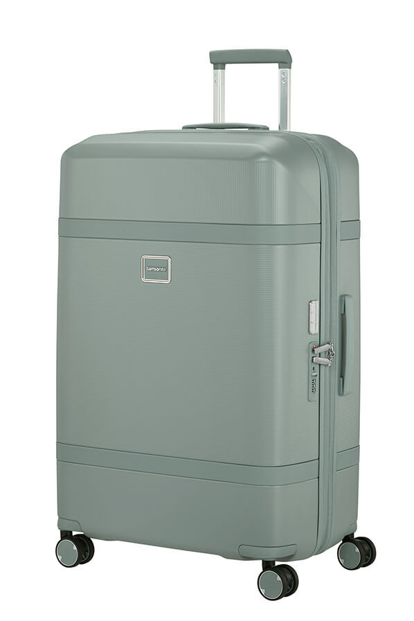 Image Trolley espandibile (4 ruote) 75cm