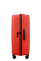 Prodiver Trolley espandibile (4 ruote) 81cm
