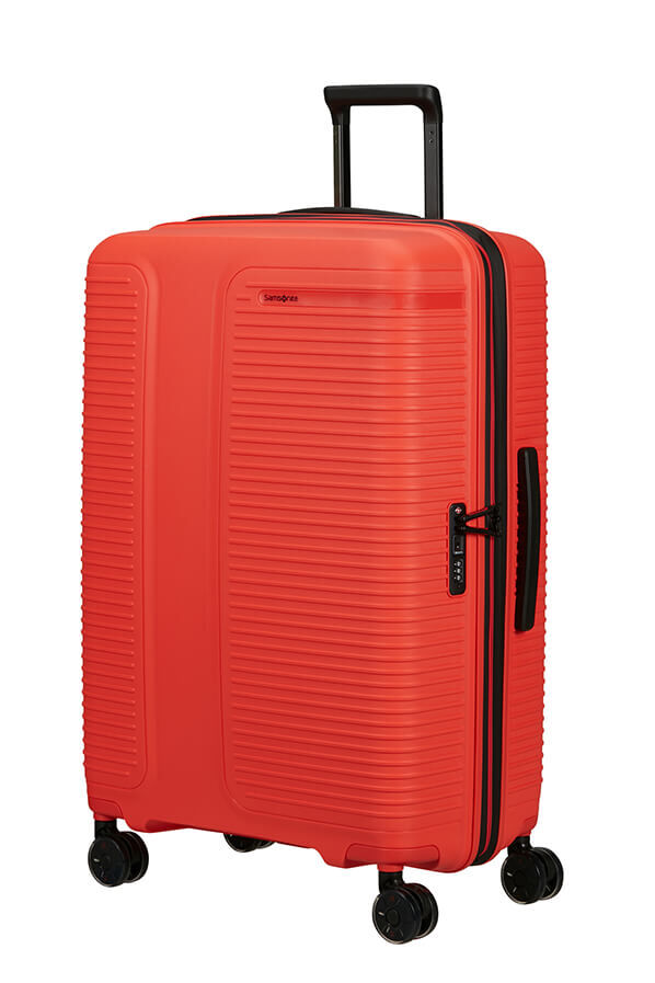 Prodiver Trolley espandibile (4 ruote) 75cm