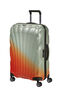 C-Lite Trolley (4 ruote) 69cm