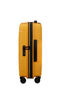 Prodiver Trolley espandibile (4 ruote) 55cm