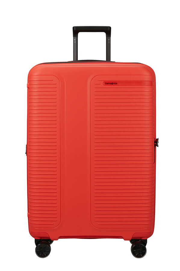 Prodiver Trolley espandibile (4 ruote) 75cm