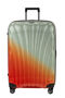 C-Lite Trolley (4 ruote) 75cm