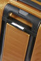 Proxis Trolley espandibile (4 ruote) 55cm