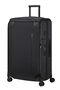 Splendix Trolley (4 ruote) 79cm