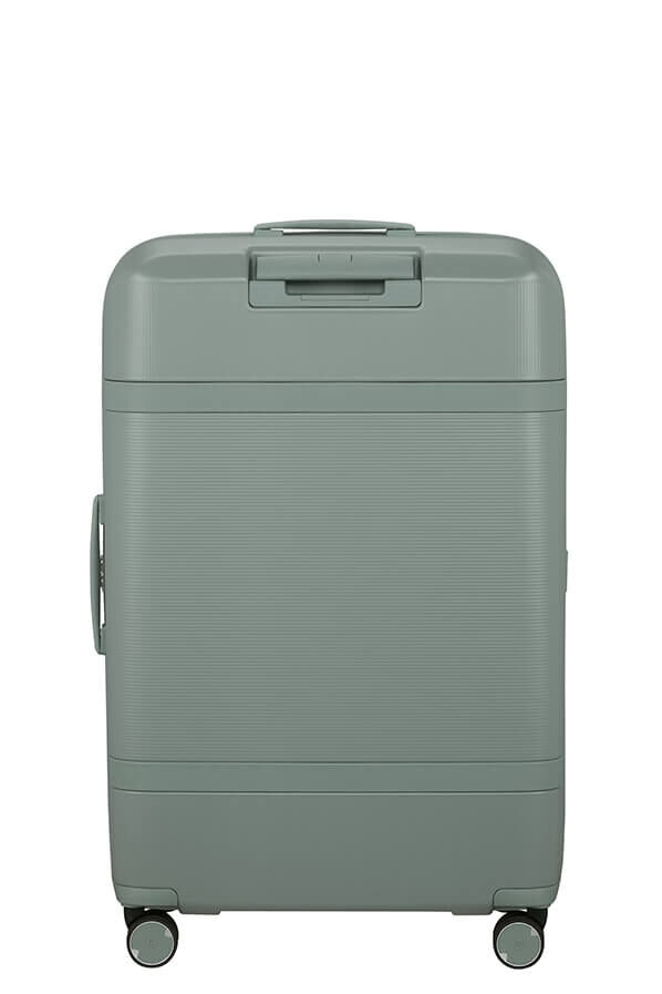 Image Trolley espandibile (4 ruote) 75cm