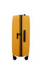 Prodiver Trolley espandibile (4 ruote) 75cm
