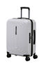 2Wander Trolley espandibile (4 ruote) 55cm