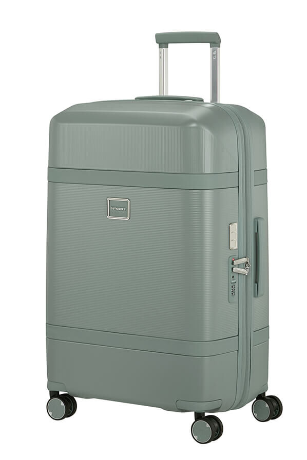Image Trolley espandibile (4 ruote) 69cm