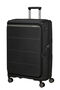 Paralux Trolley espandibile (4 ruote) 75cm