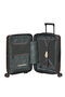 Prodiver Trolley espandibile (4 ruote) 55cm