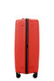 Prodiver Trolley espandibile (4 ruote) 81cm